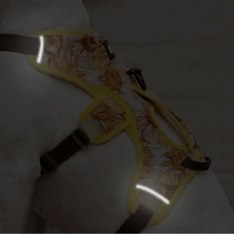 Colorful No-Pull Escape-Proof Harness