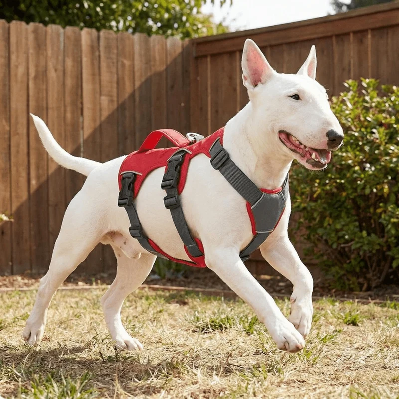 7-Point Reflective Escape-Proof Harness