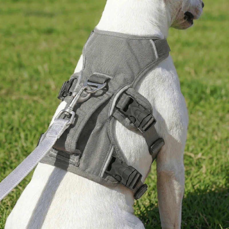 7-Point Reflective Escape-Proof Harness