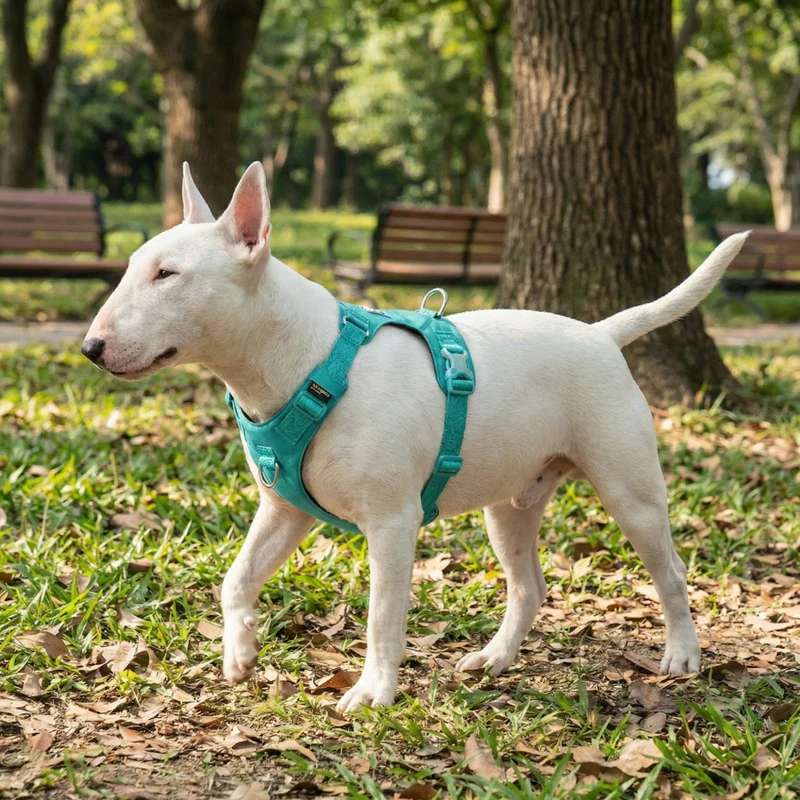 Lightweight No-Pull Cordura Harness