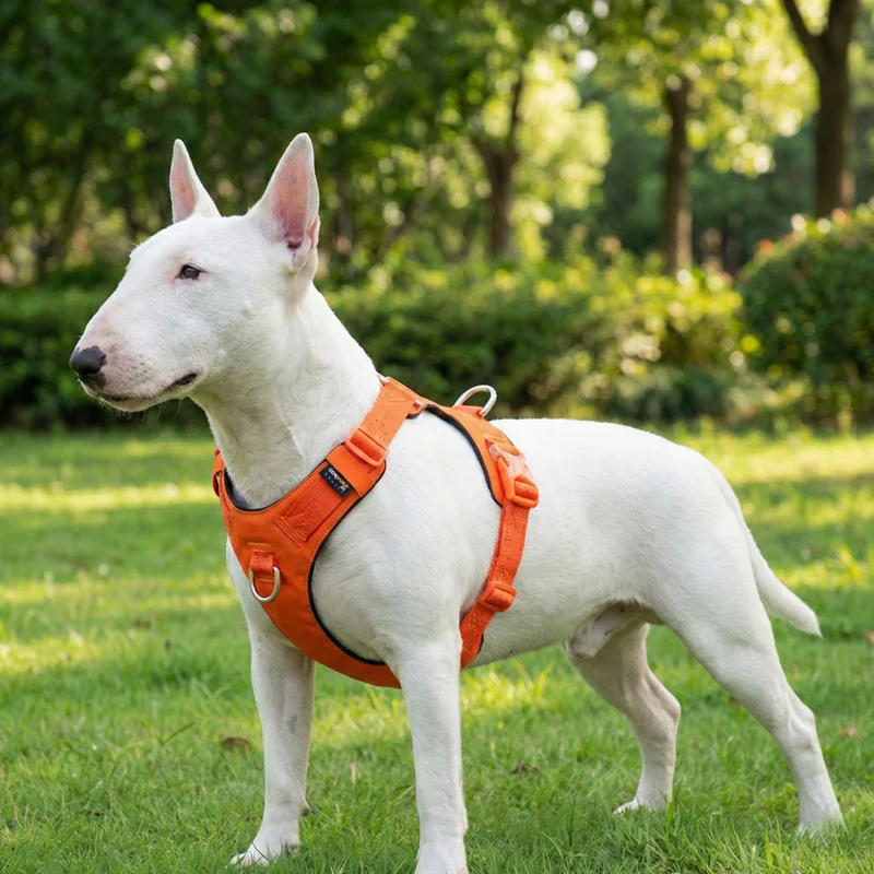 Lightweight No-Pull Cordura Harness