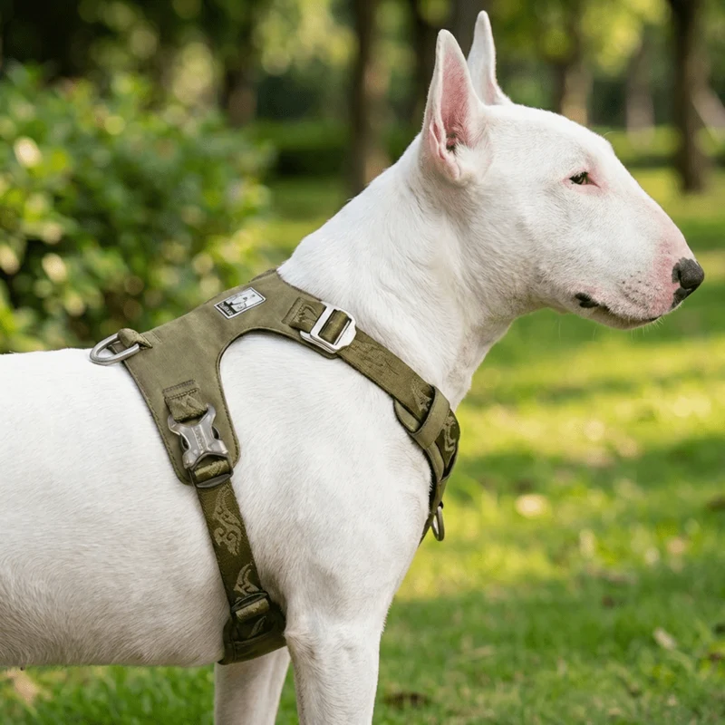 Lightweight No-Pull Cordura Harness
