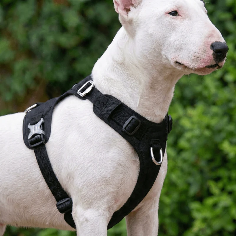 Lightweight No-Pull Cordura Harness