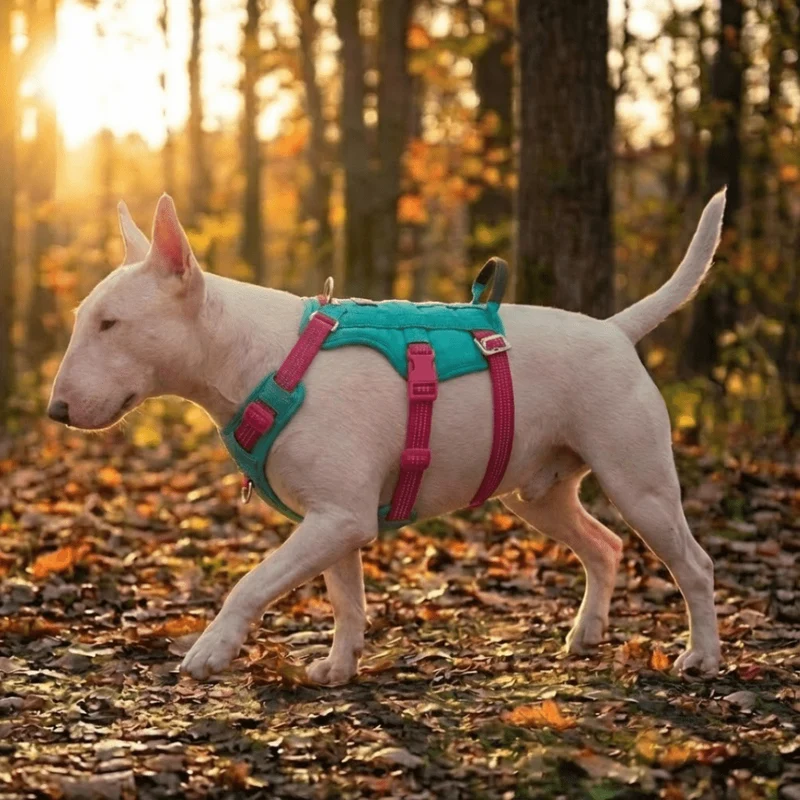 3M No-Pull Escape-Proof Harness