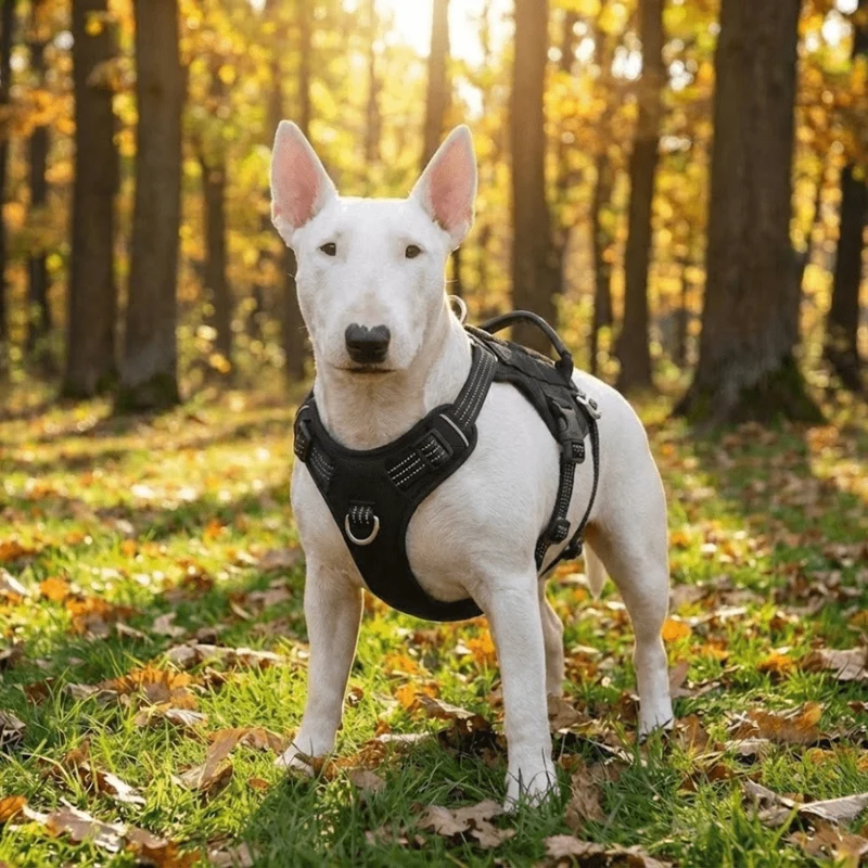 3M No-Pull Escape-Proof Harness
