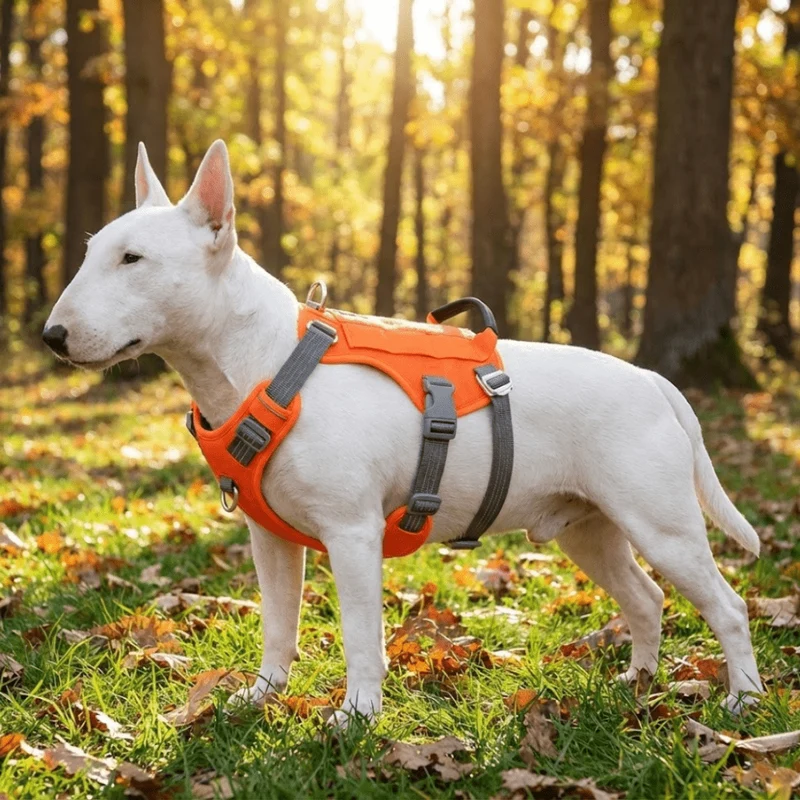 3M No-Pull Escape-Proof Harness