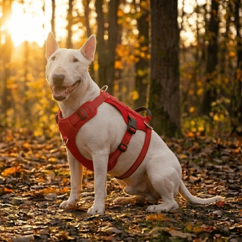 3M No-Pull Escape-Proof Harness