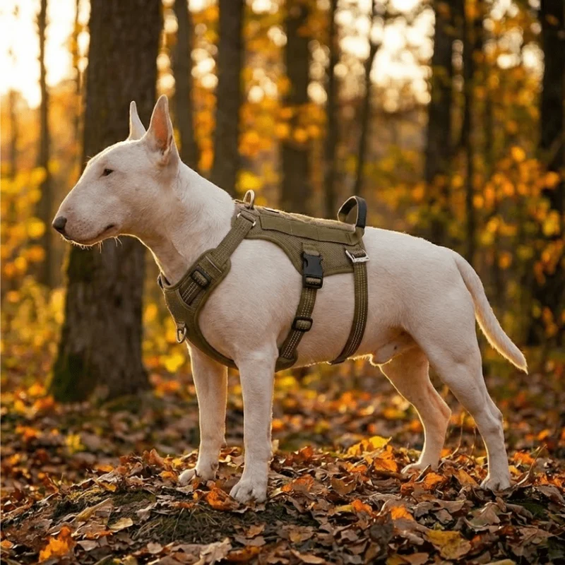 3M No-Pull Escape-Proof Harness