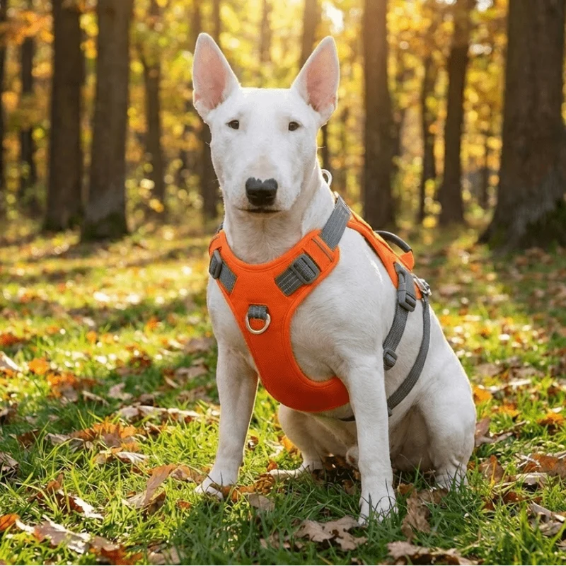 3M No-Pull Escape-Proof Harness