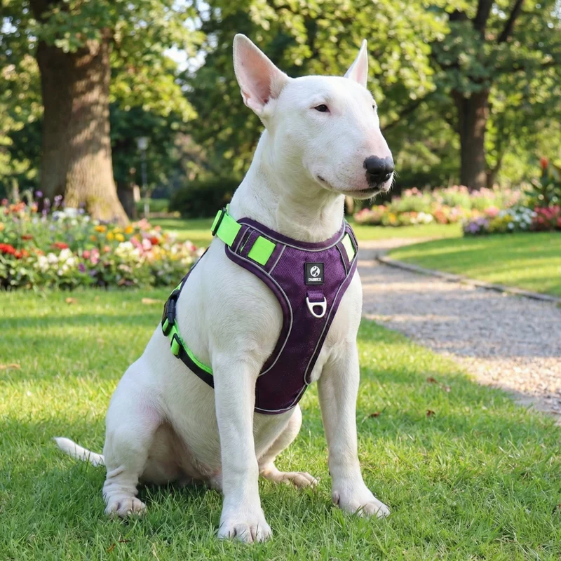 No-Pull Reflective Harness With Velcro