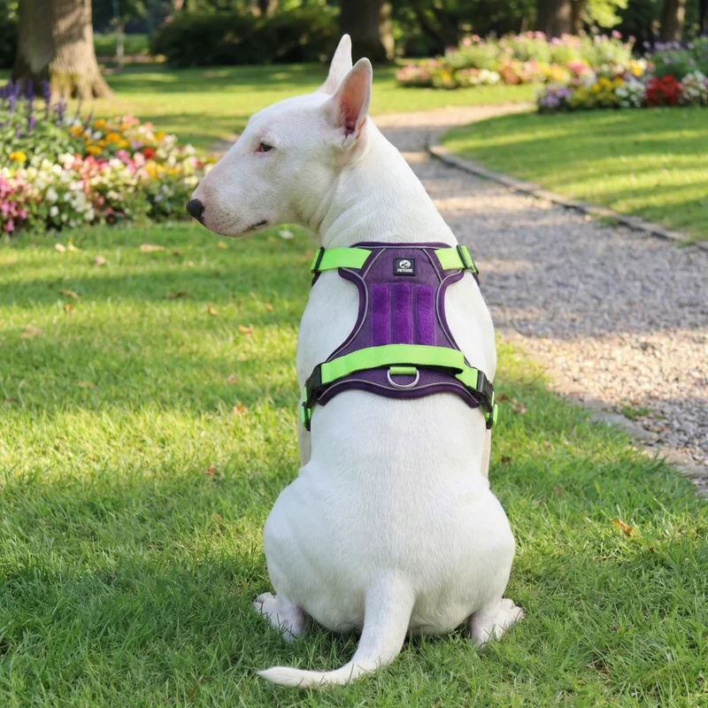 No-Pull Reflective Harness With Velcro
