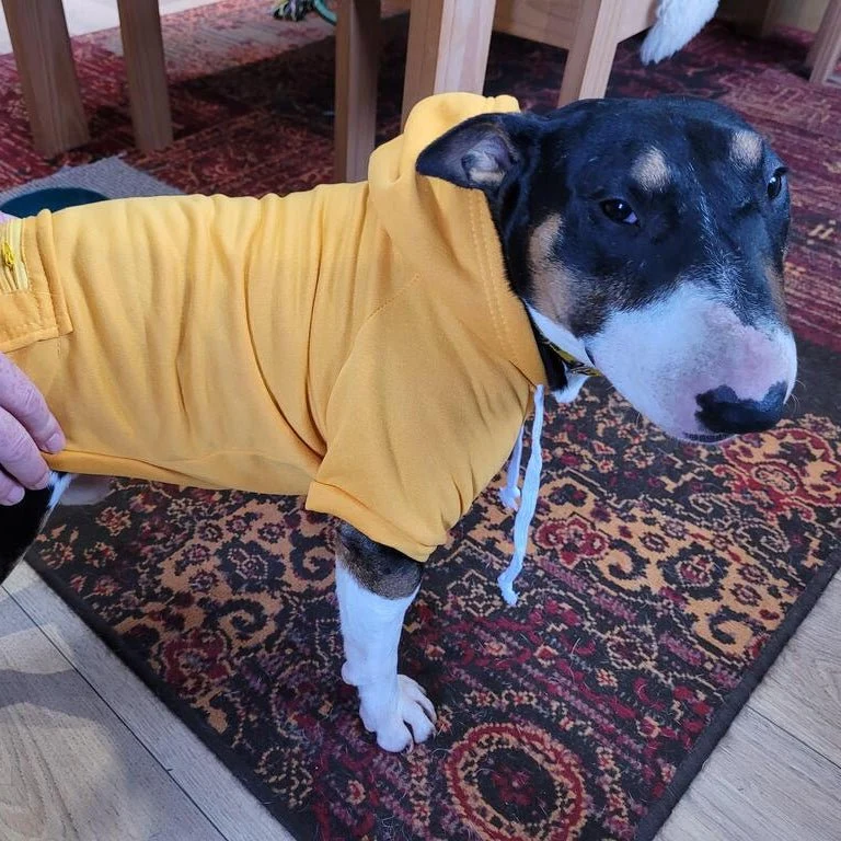 Hoodie With Zipper Pocket