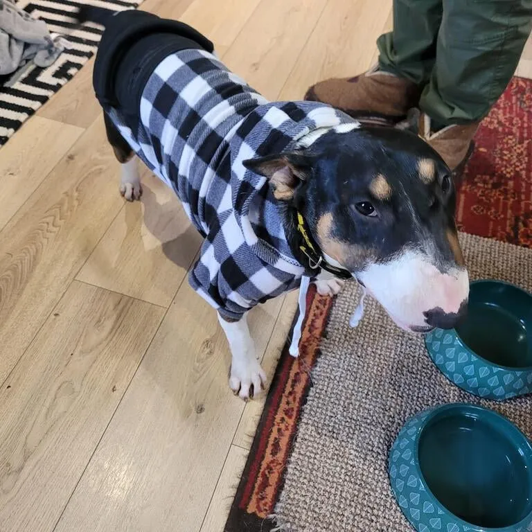 Plaid Hoodie With Zipper Pocket