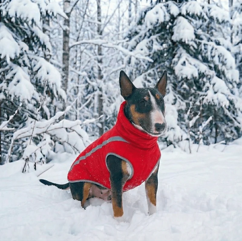 Reflective Vest With Retractable Collar
