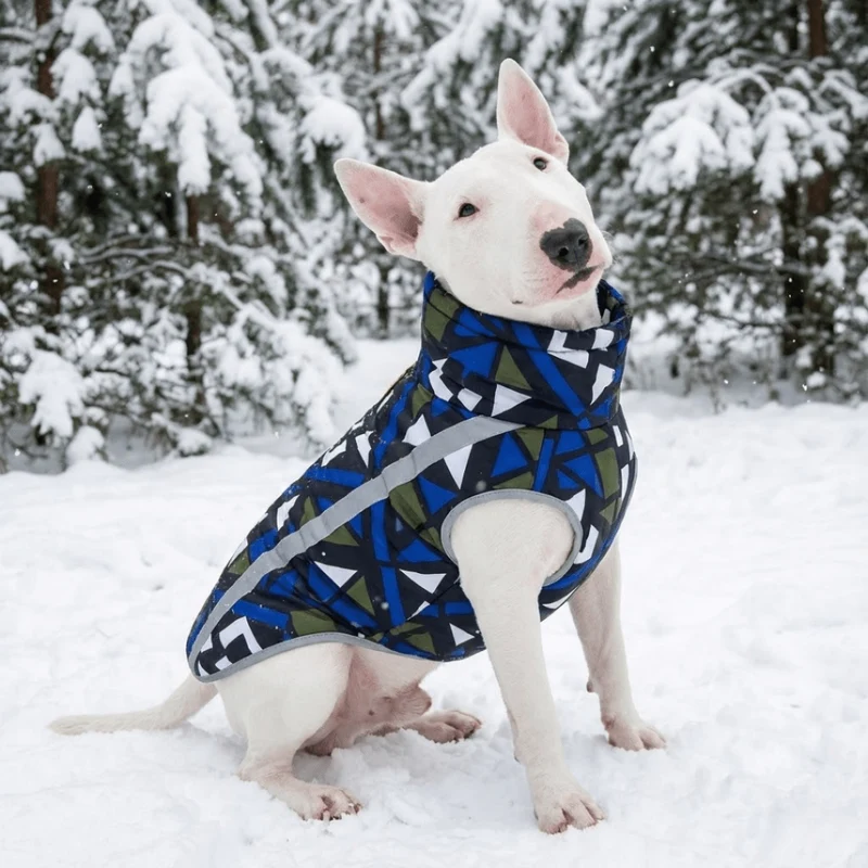 Patterned Vest With Retractable Collar