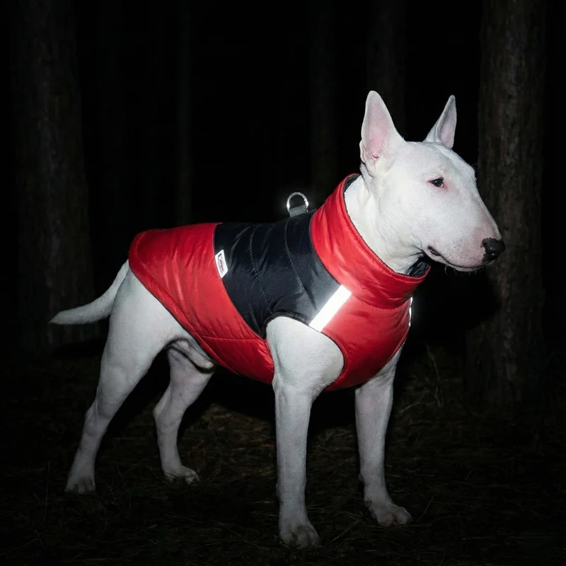 Leash-Ready Two-Color Vest