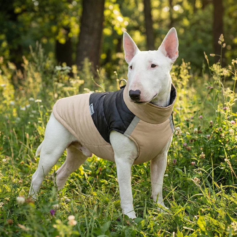 Leash-Ready Two-Color Vest