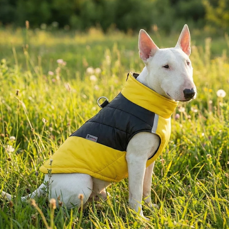 Leash-Ready Two-Color Vest