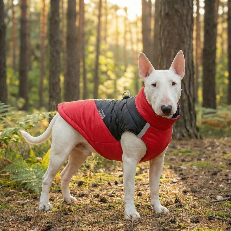 Leash-Ready Two-Color Vest