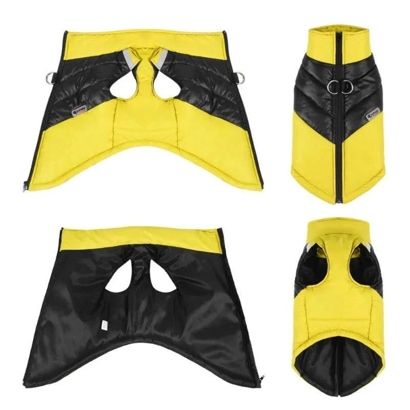 Leash-Ready Two-Color Vest