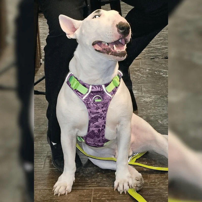 Tropical 3M No-Pull Vest Harness