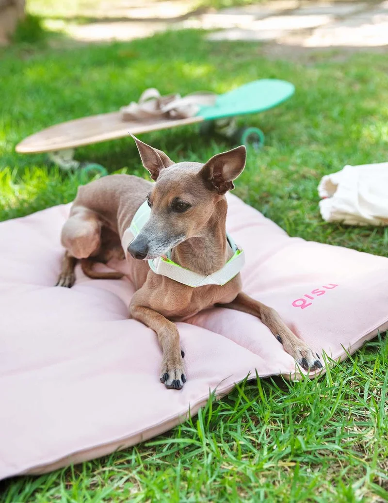 Lit nomade pour chien