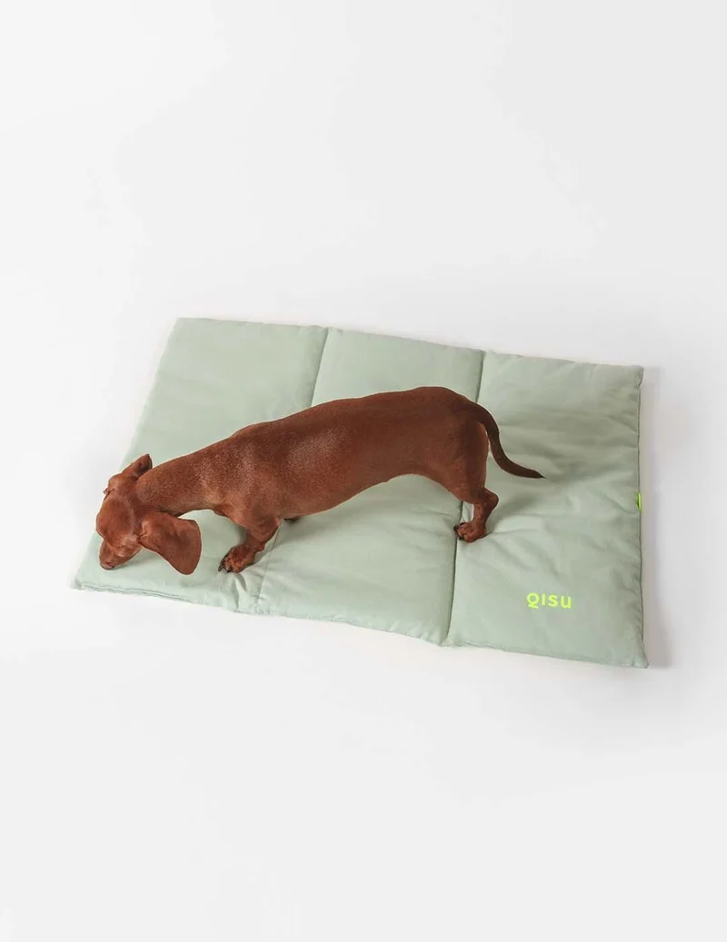 Lit nomade pour chien
