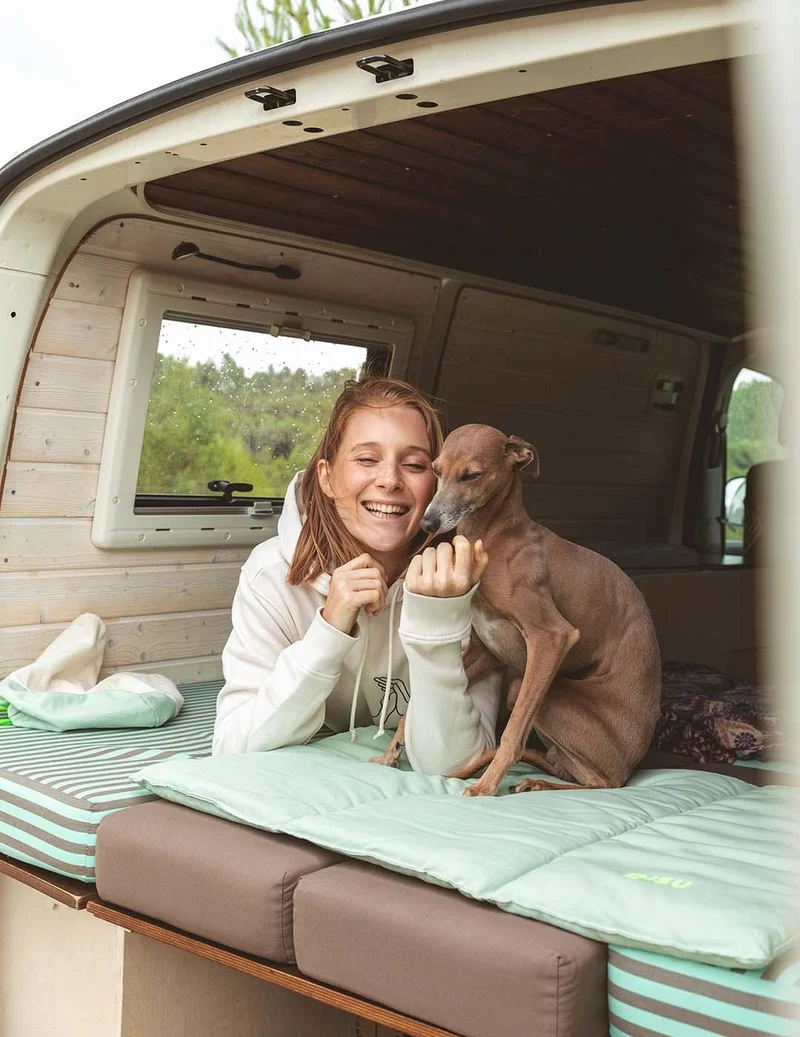 Lit nomade pour chien
