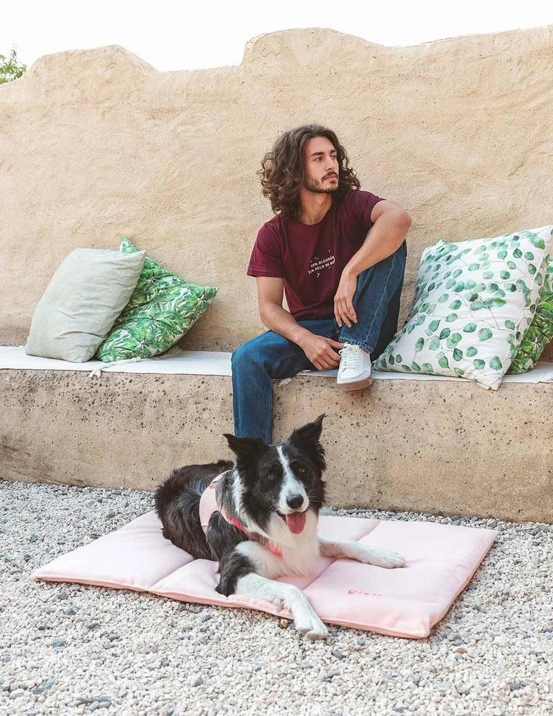 Lit nomade pour chien
