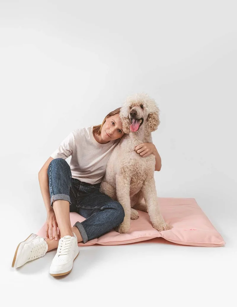 Lit nomade pour chien