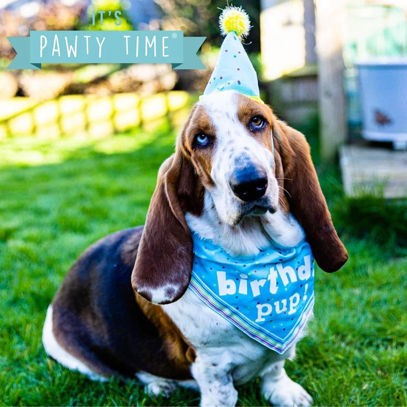 Kit Birthday bonnet et bandana
