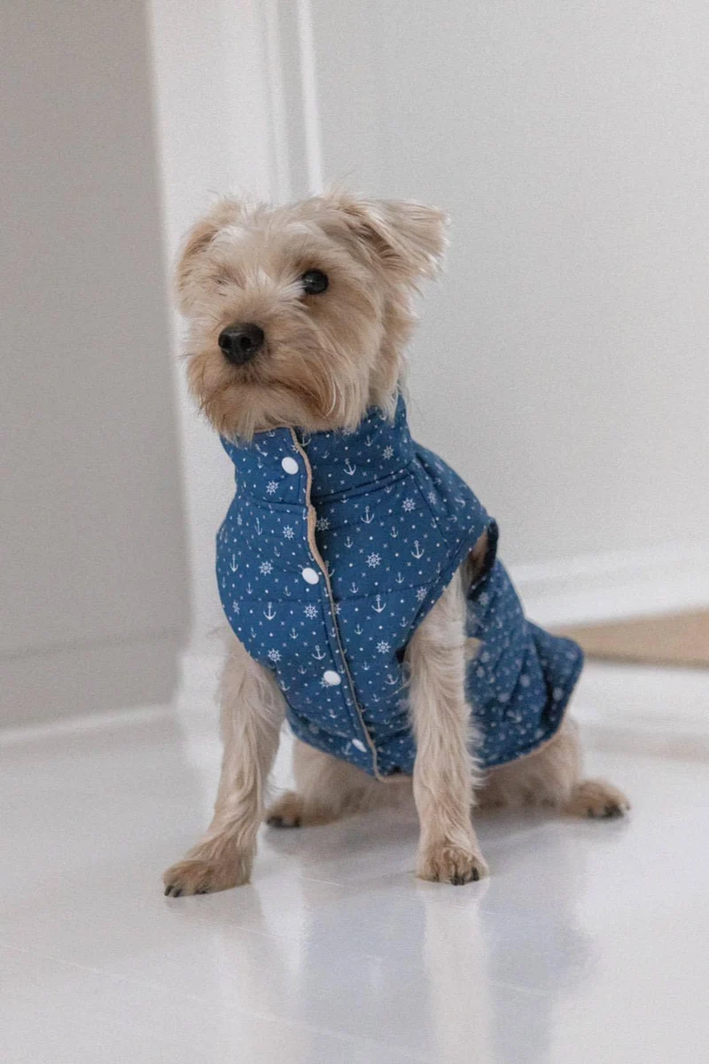 Veste Sailor