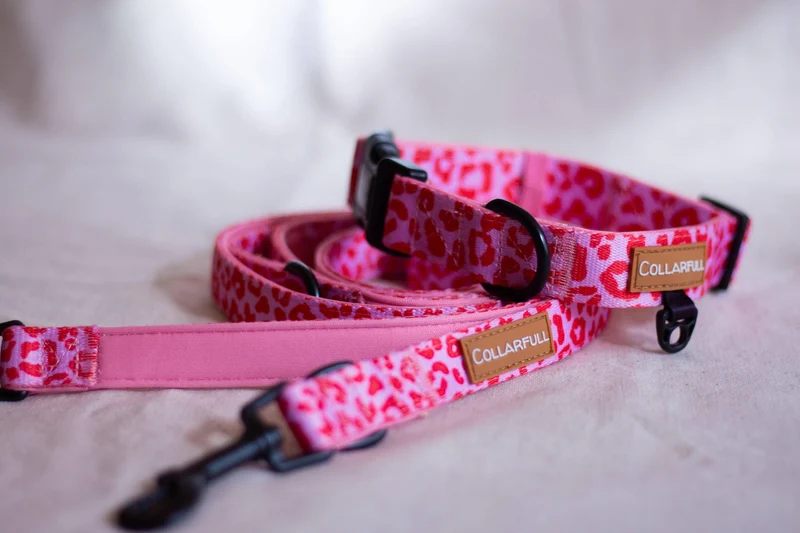 Laisse ajustable Pink Panther