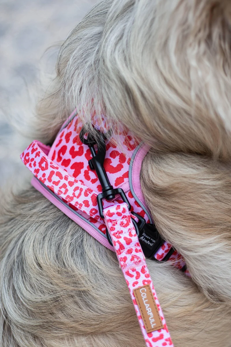 Laisse ajustable Pink Panther