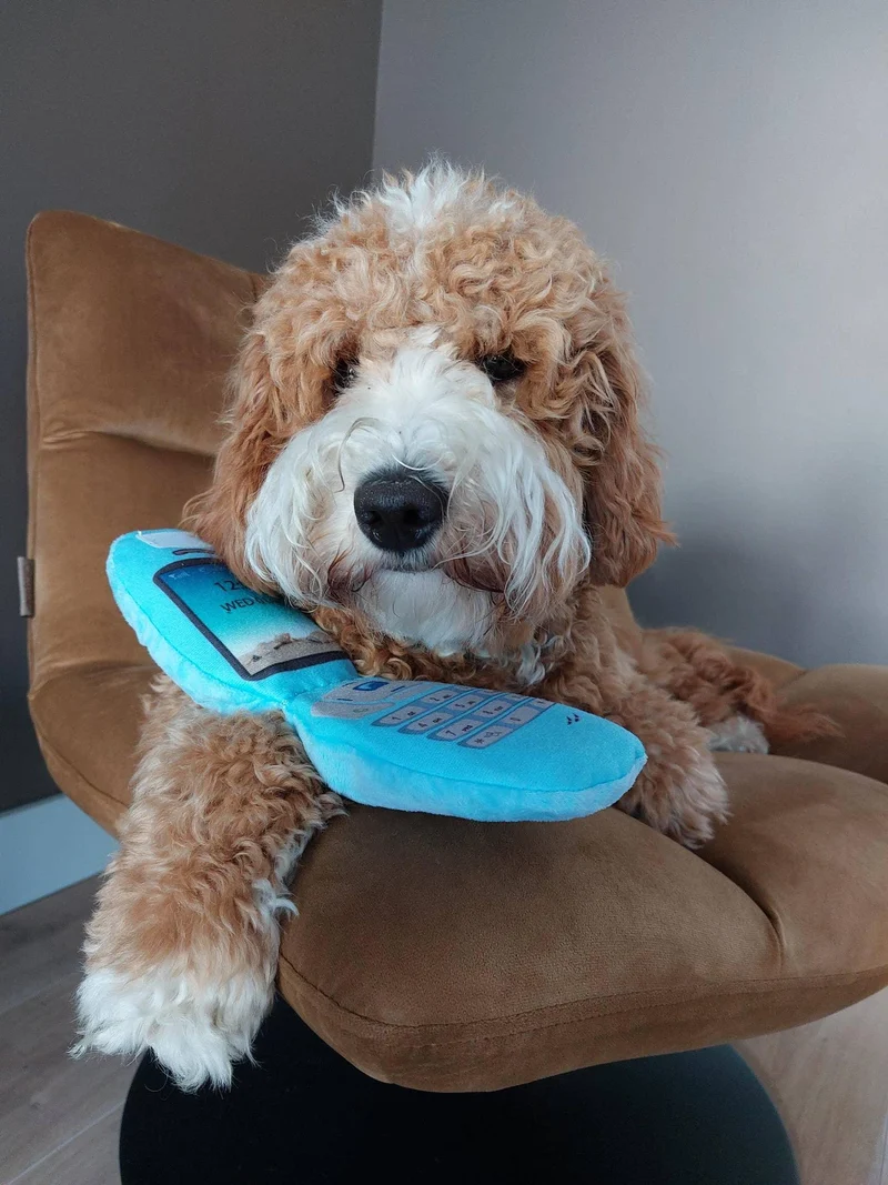 Jouet peluche Téléphone