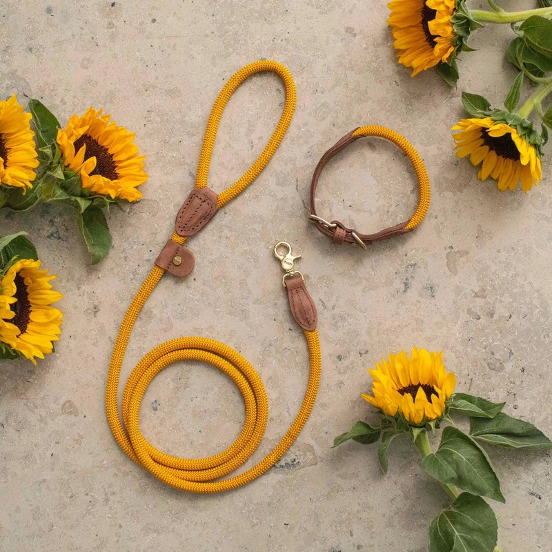 Laisse Sunflower Yellow