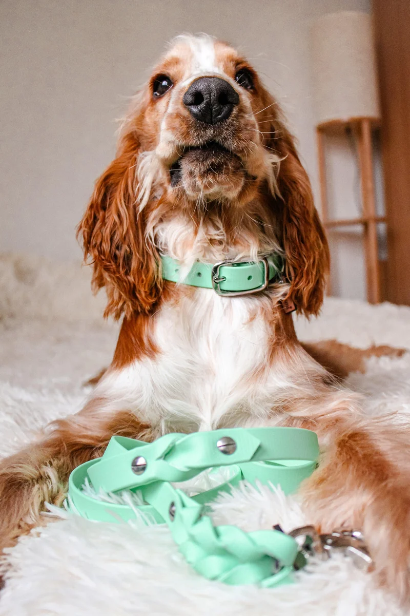 Collier Vert Caraïbes