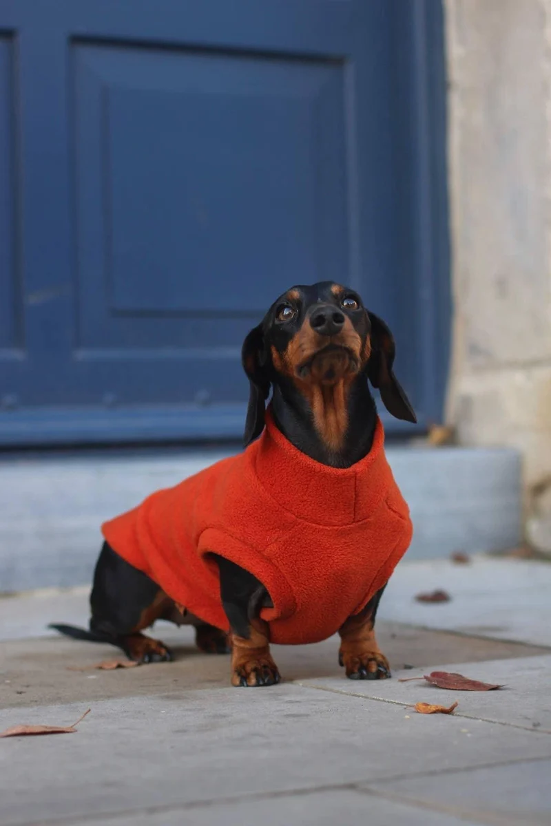 Pull en polaire thermique