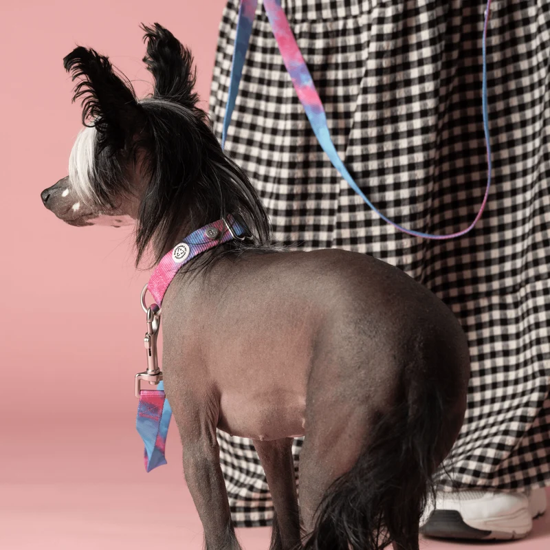 Laisse pour chien Tie & Dye