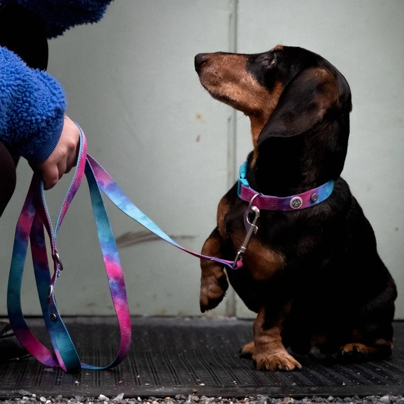 Laisse pour chien Tie & Dye