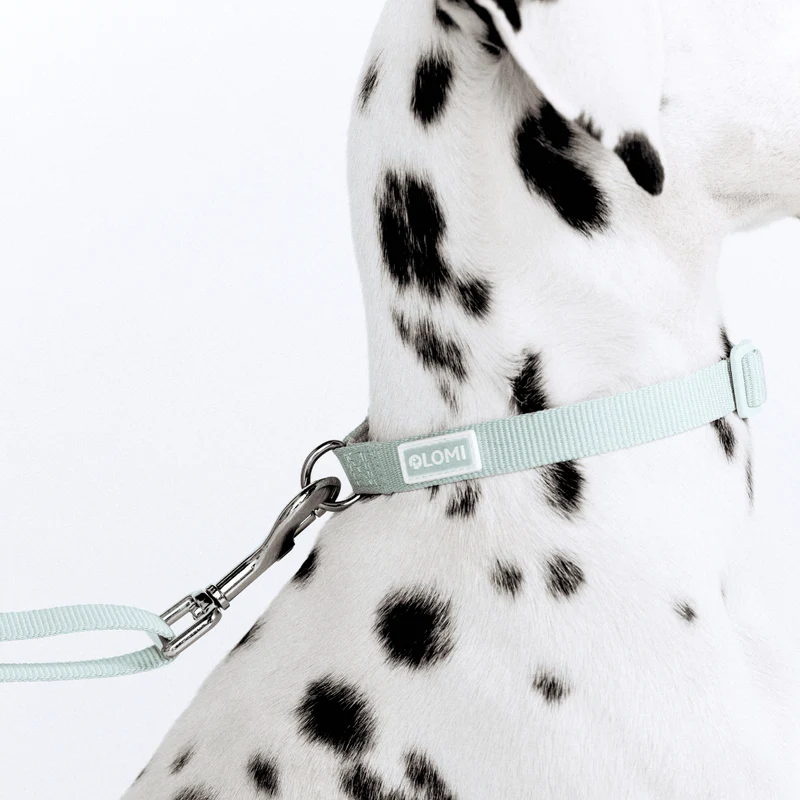 Collier Lomi en PET recyclé