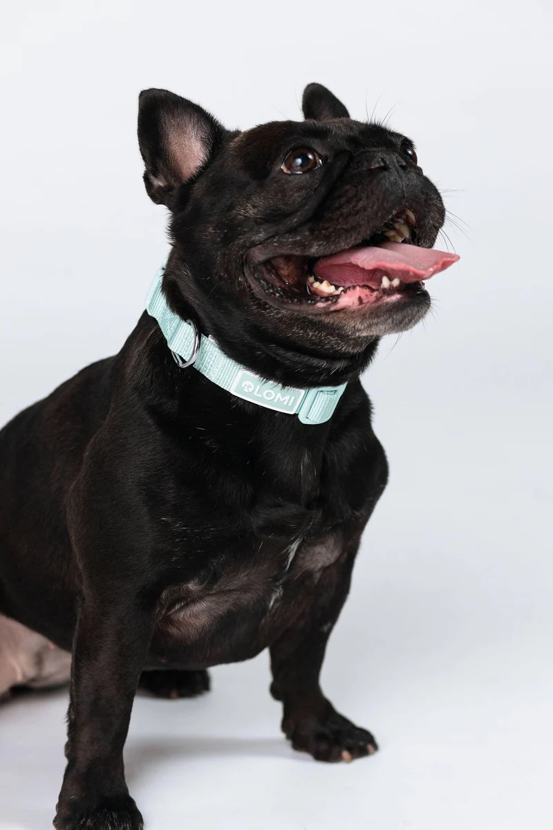 Collier Lomi en PET recyclé
