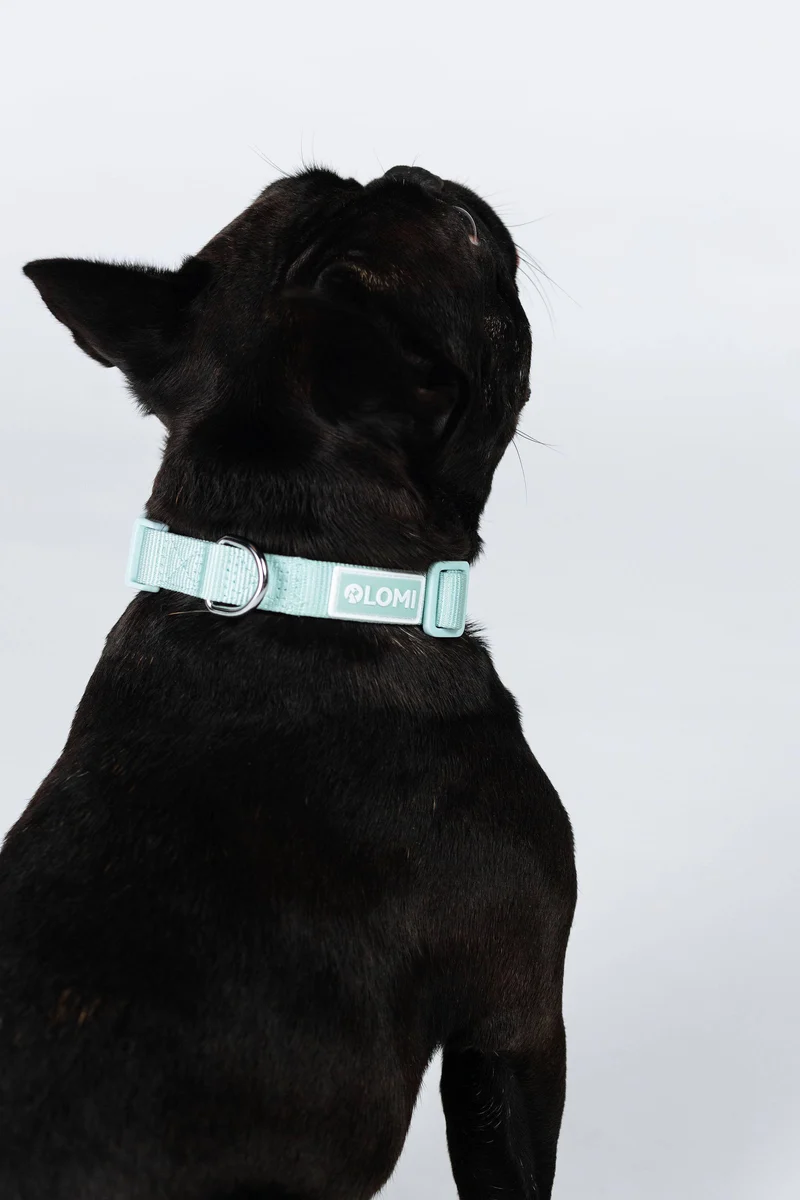 Collier Lomi en PET recyclé