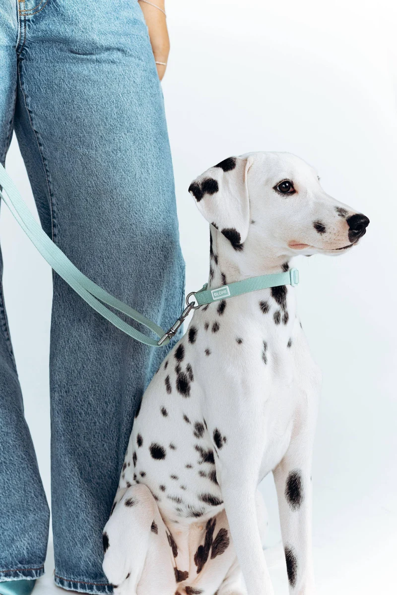 Collier Lomi en PET recyclé