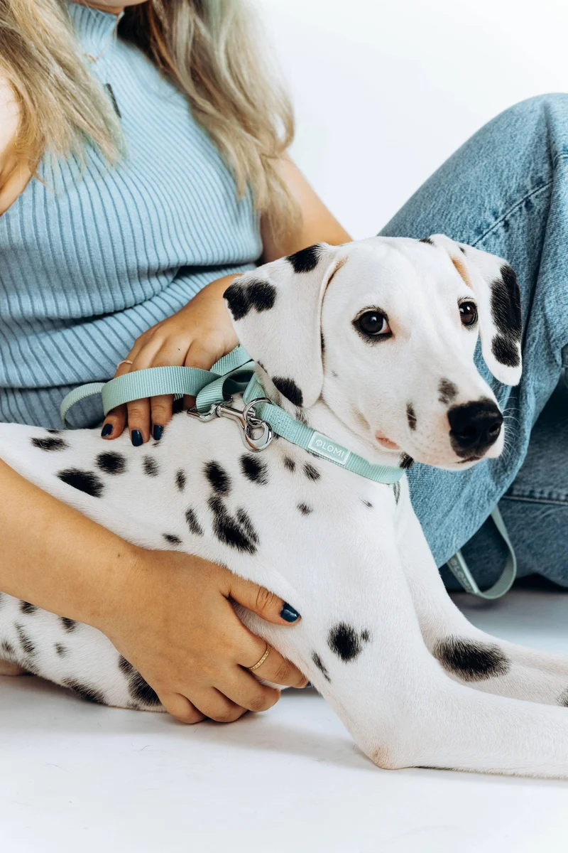 Collier Lomi en PET recyclé