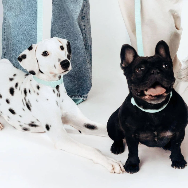 Collier Lomi en PET recyclé