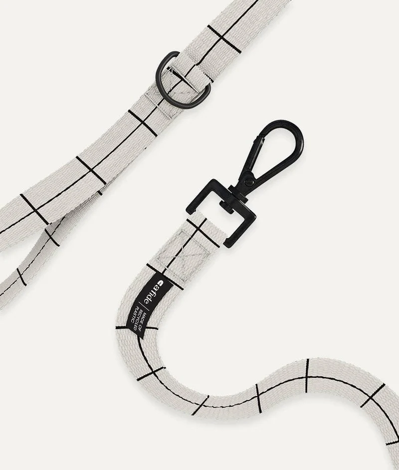 Laisse Linea