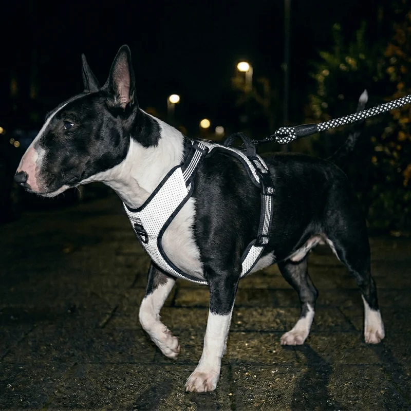 3M Super-Reflective No-Pull Harness