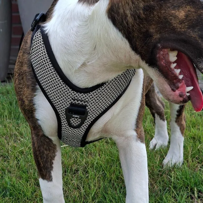 3M Super-Reflective No-Pull Harness