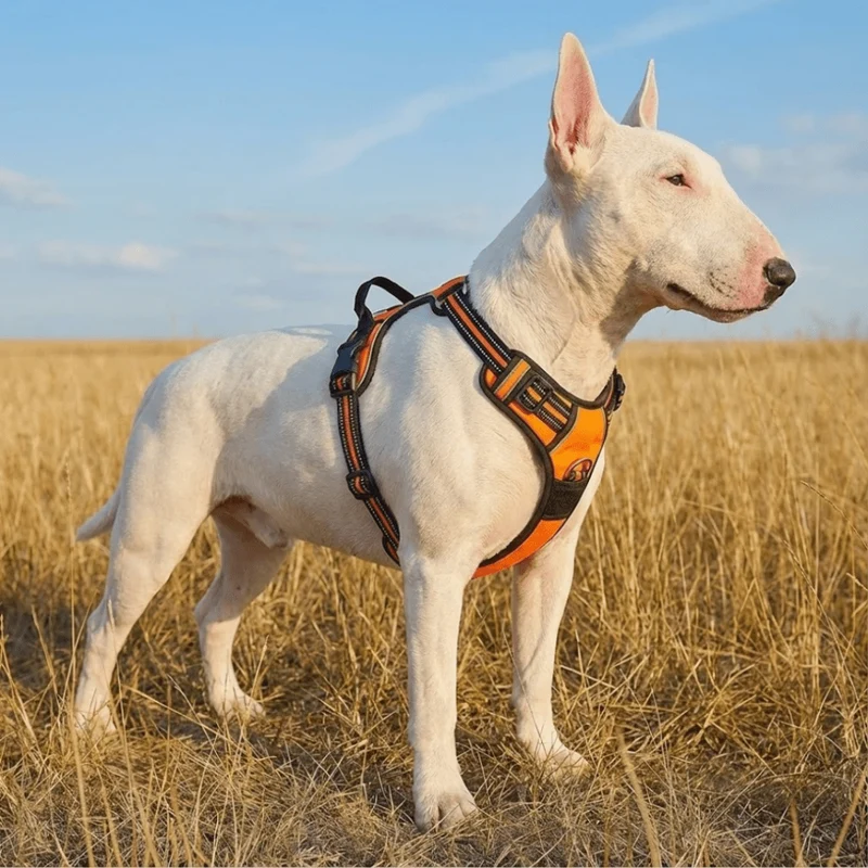 3M No-Pull Vest Harness